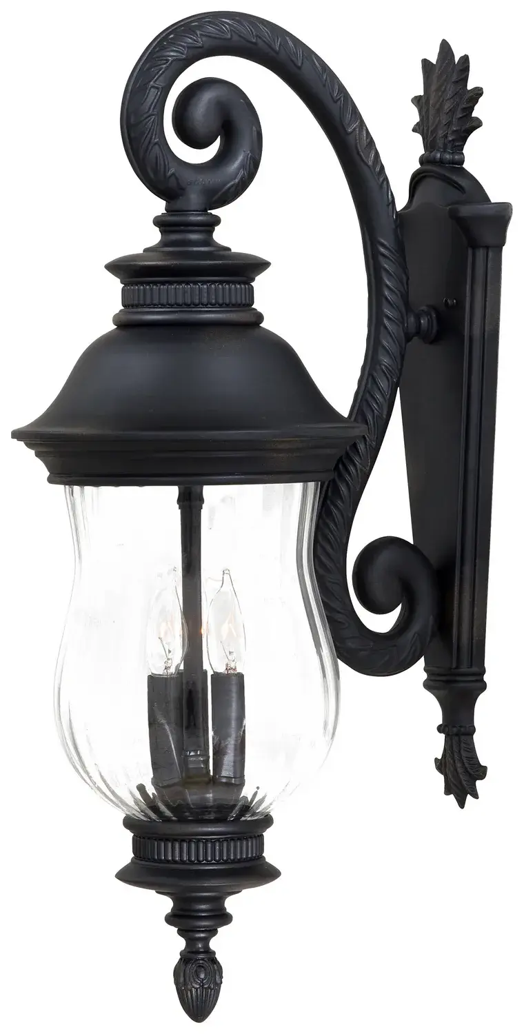 Newport 3-Light Outdoor Wall Lantern