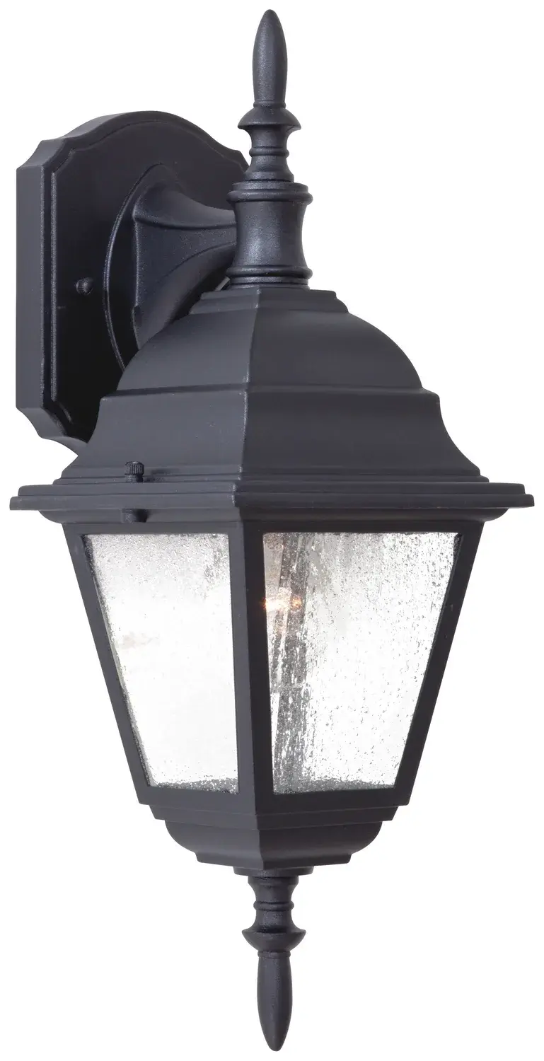 Bay Hill 1-Light Outdoor Wall Lantern