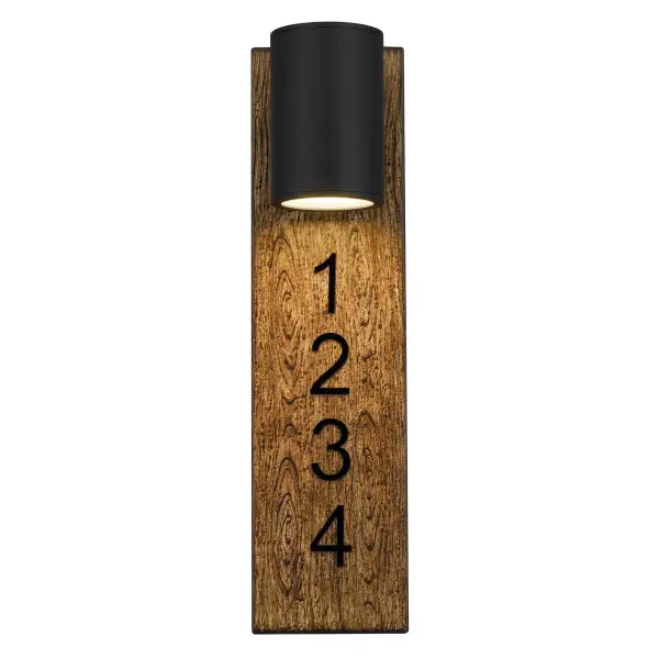 Woodone Outdoor Wall Sconce - Image 8