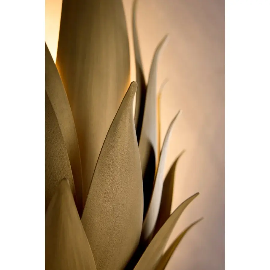 Agave Large Two Light Sconce in Burnished Gold - Image 11