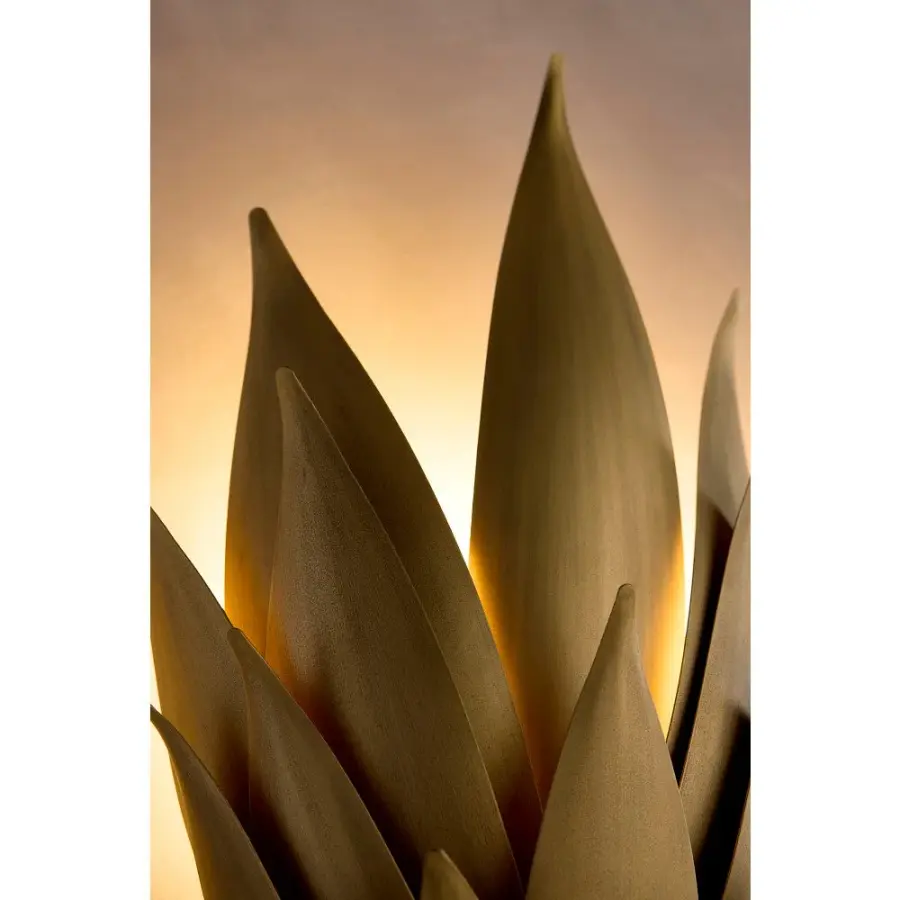 Agave Large Two Light Sconce in Burnished Gold - Image 9