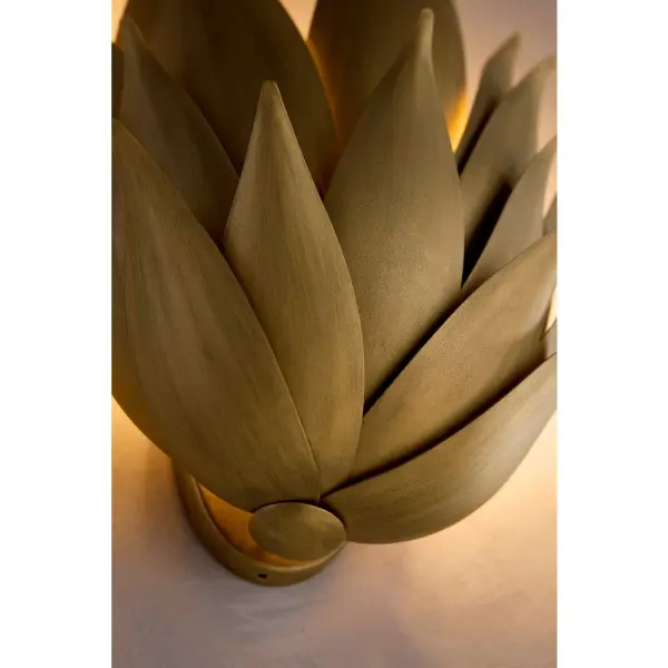 Agave Large Two Light Sconce in Burnished Gold - Image 10