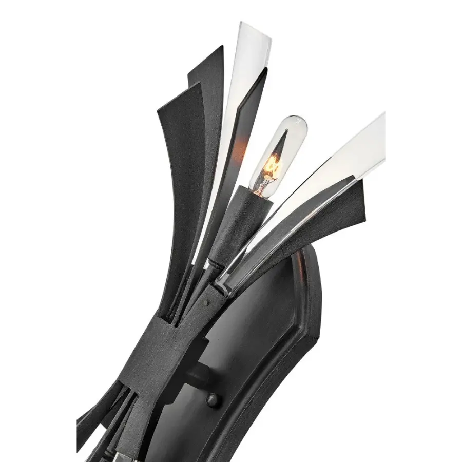 Vida Two Light Wall Sconce in Brushed Graphite - Image 6