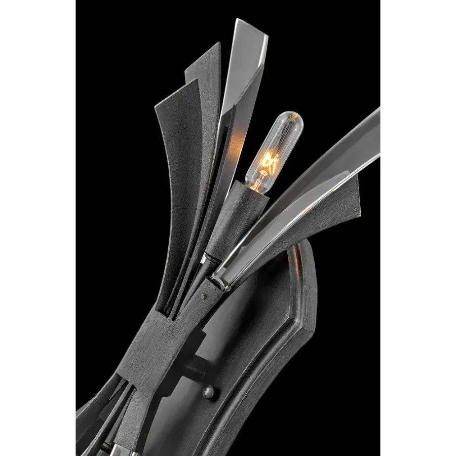 Vida Two Light Wall Sconce in Brushed Graphite - Image 7