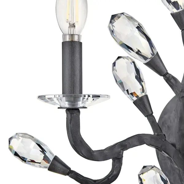 Eve Medium Two Light Wall Sconce in Brushed Graphite - Image 4