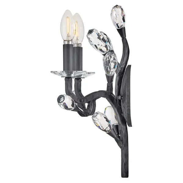 Eve Medium Two Light Wall Sconce in Brushed Graphite - Image 6