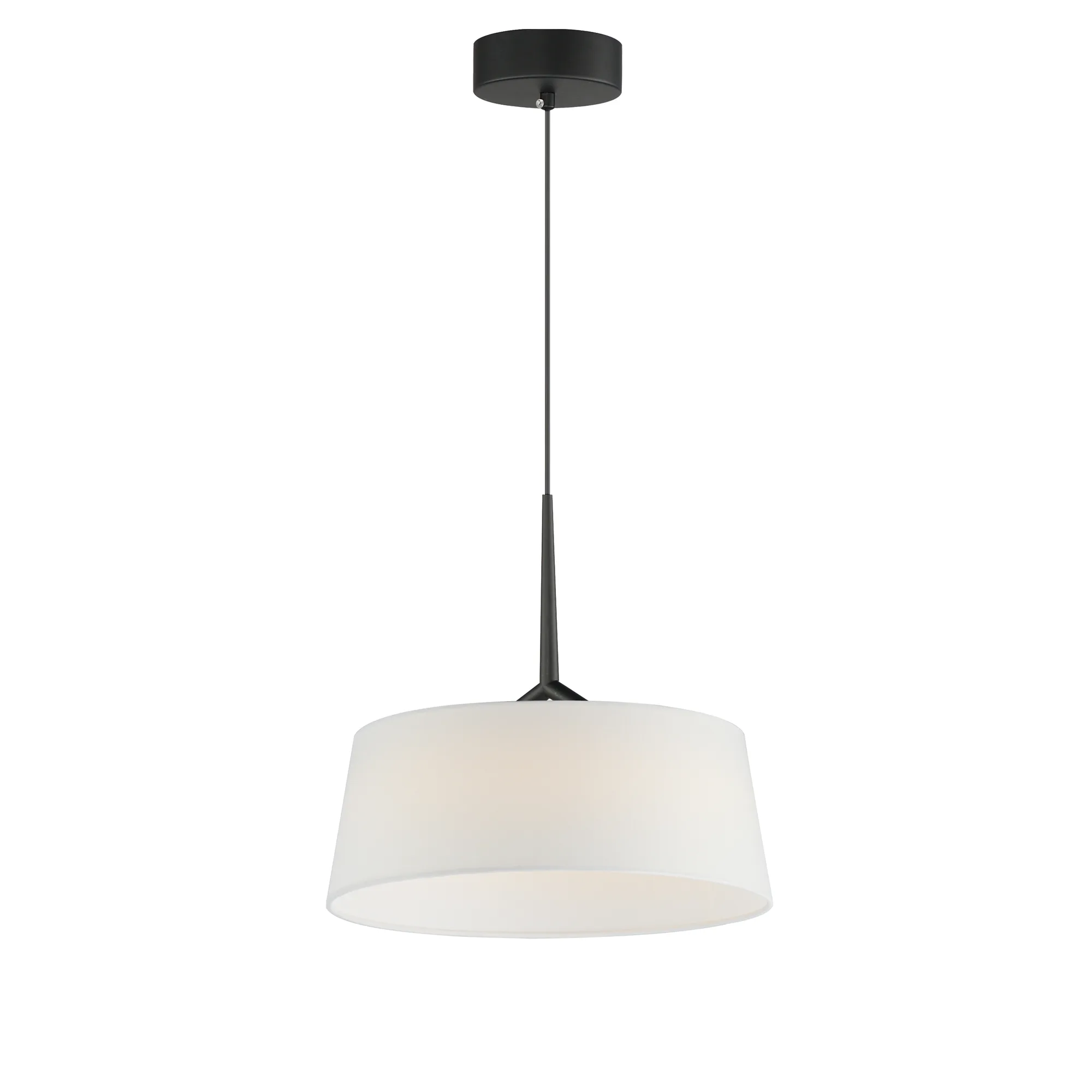 Paramount LED Pendant in Black