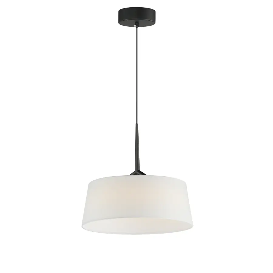 Paramount LED Pendant in Black - Image 1