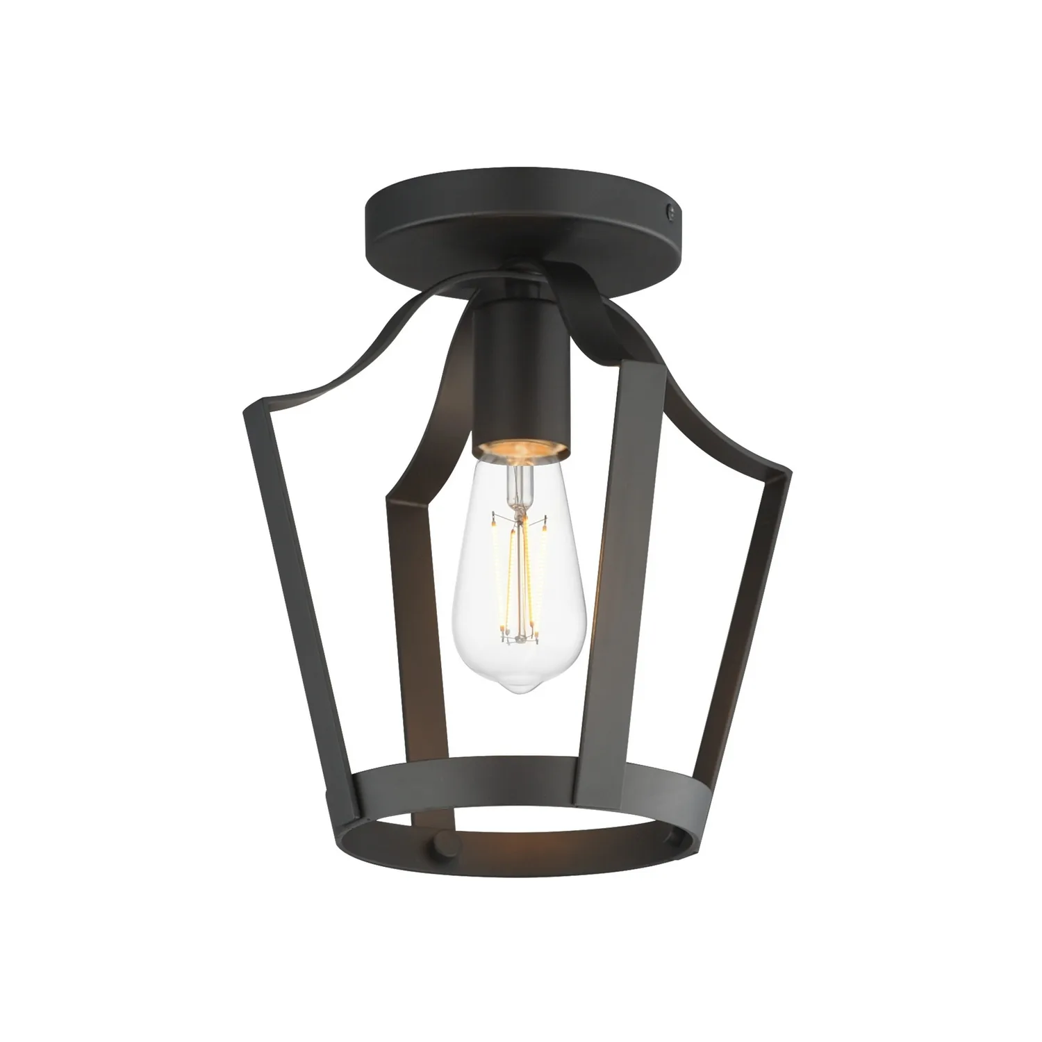 Arden One Light Pendant / Semi-Flush in Black