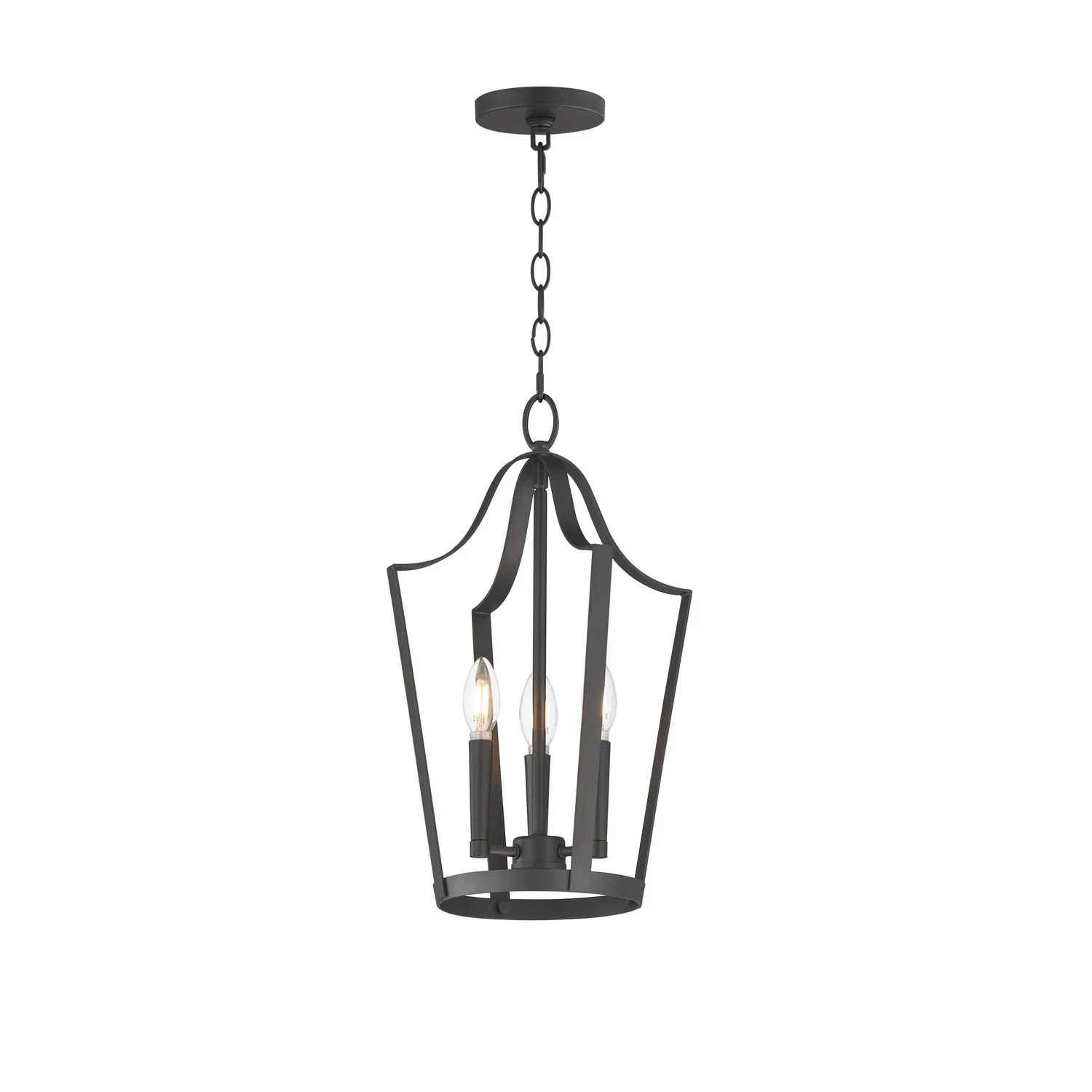 Arden Three Light Pendant in Black