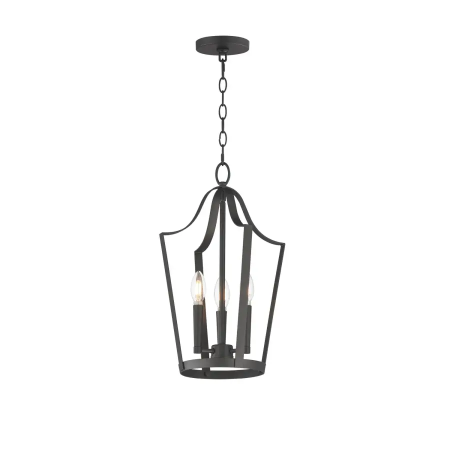 Arden Three Light Pendant in Black