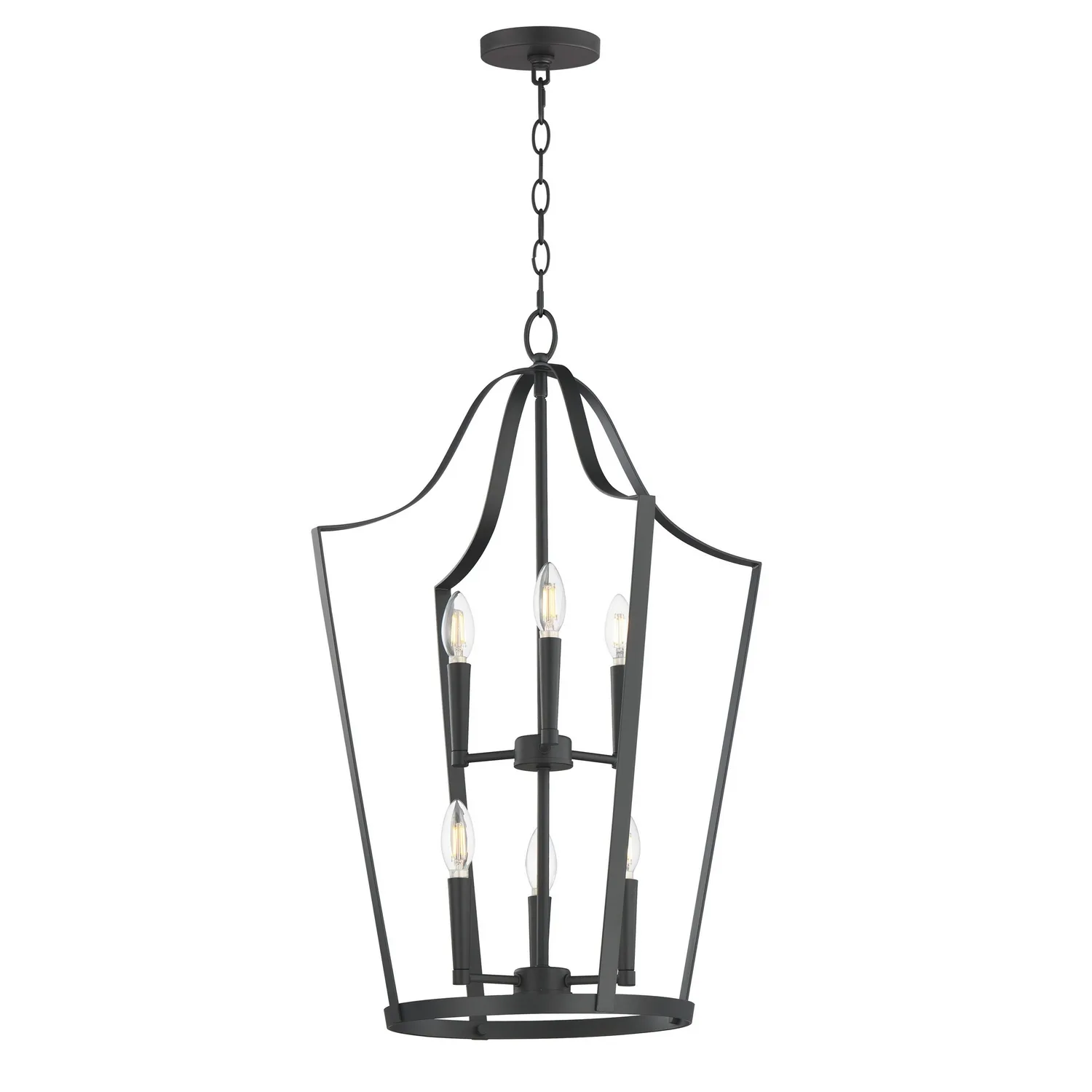 Arden Six Light Pendant in Black
