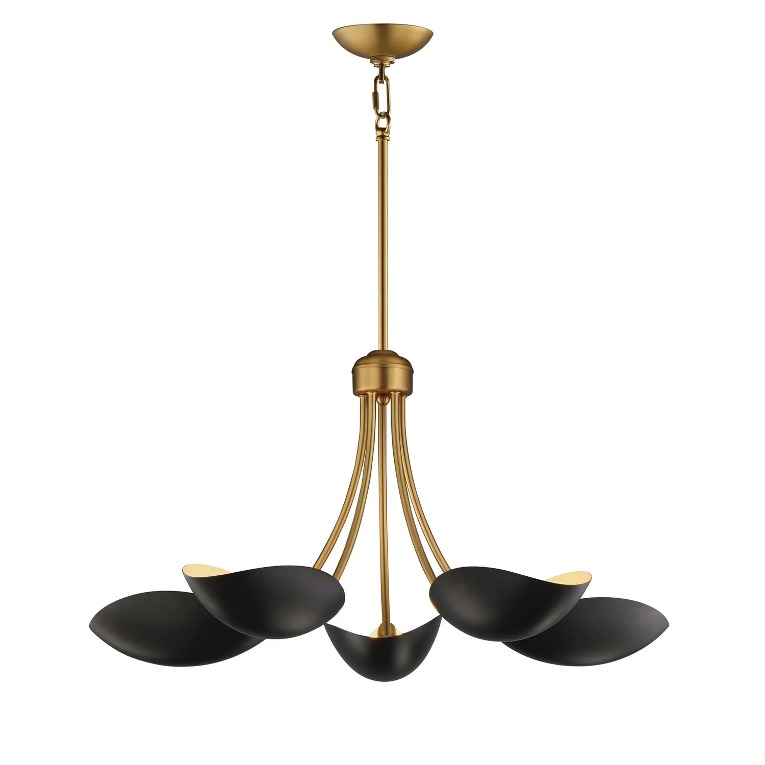 Maris Five Light Chandelier in Black / Natural Aged Brass