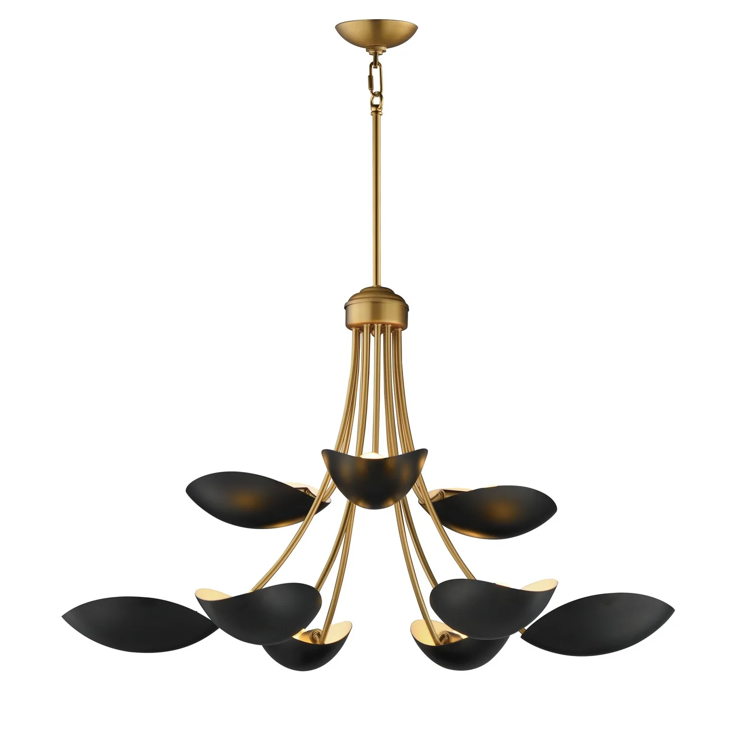Maris Nine Light Chandelier in Black / Natural Aged Brass
