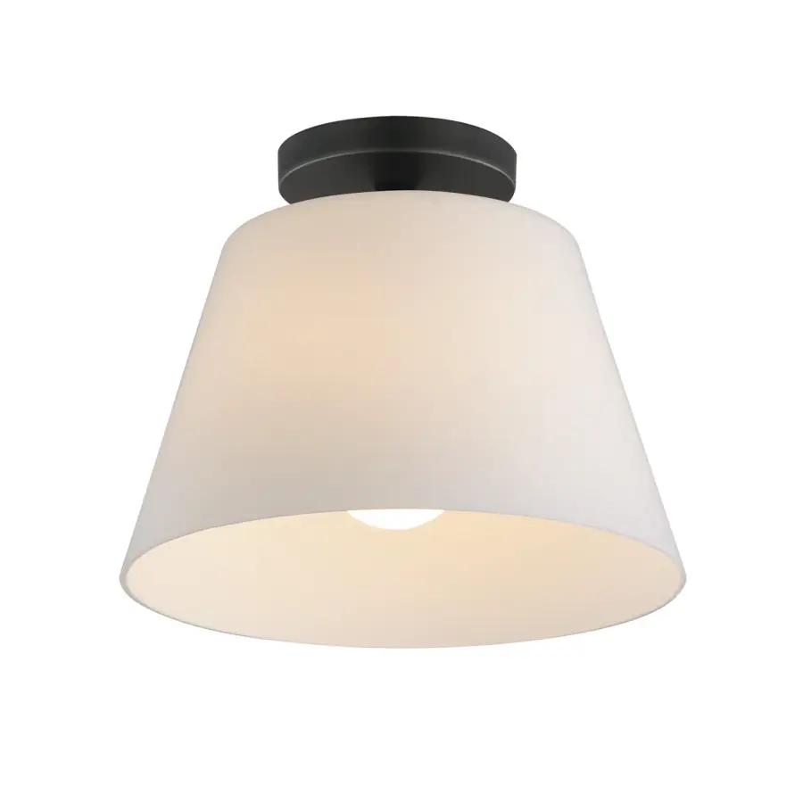 Hudson One Light Semi-Flush Mount in Black