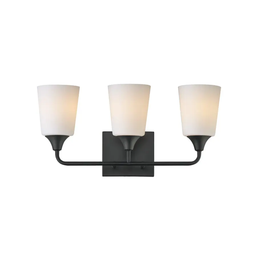 Hudson Three Light Bath Vanity in Black