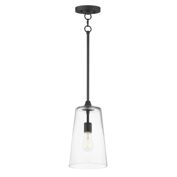 Hudson One Light Pendant in Black