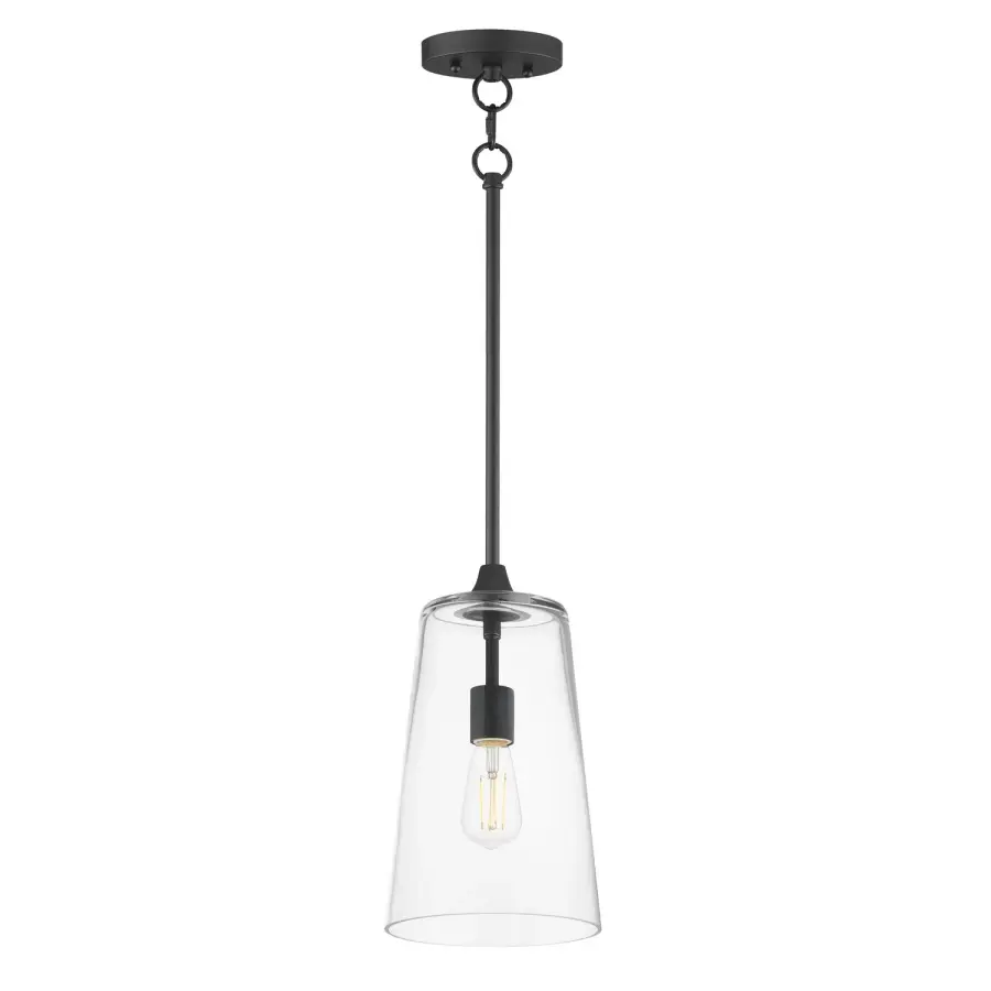 Hudson One Light Pendant in Black