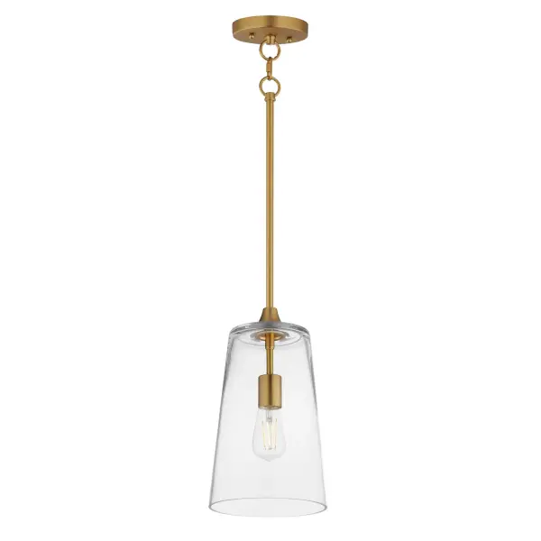 Hudson One Light Pendant in Natural Aged Brass