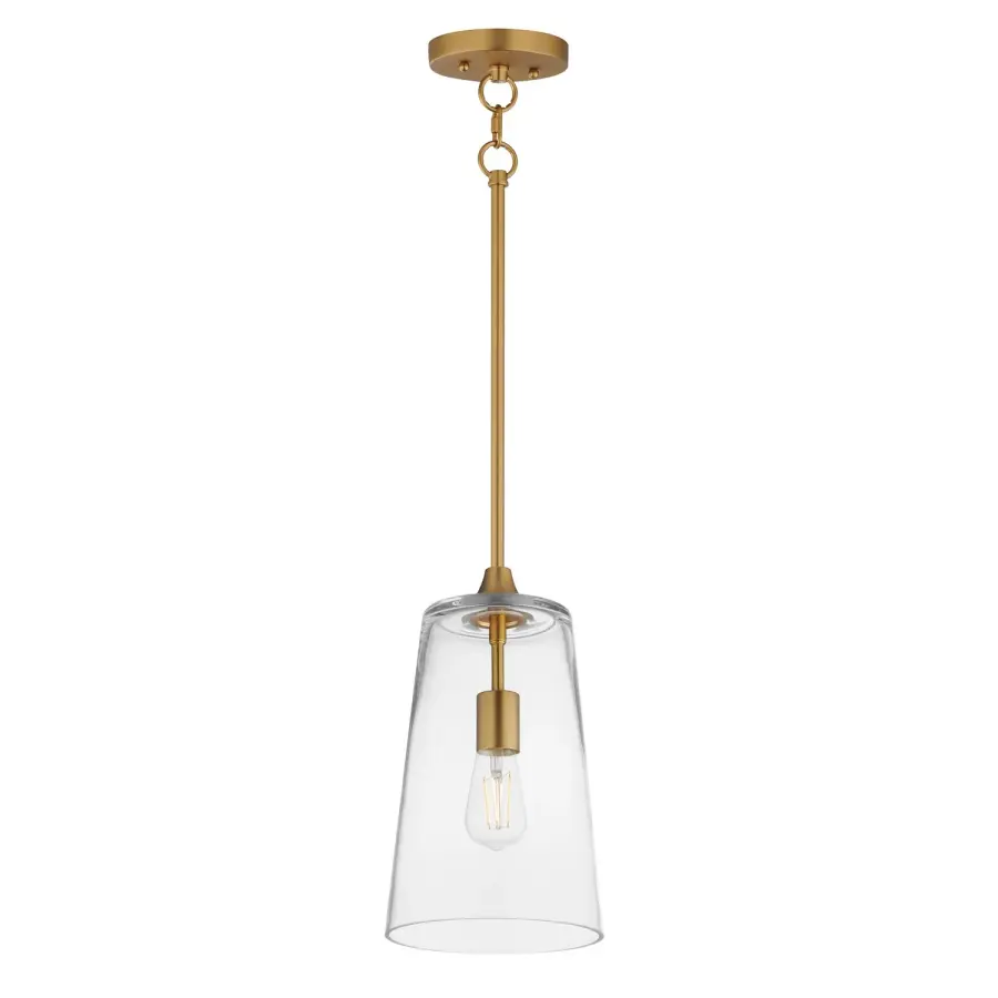 Hudson One Light Pendant in Natural Aged Brass