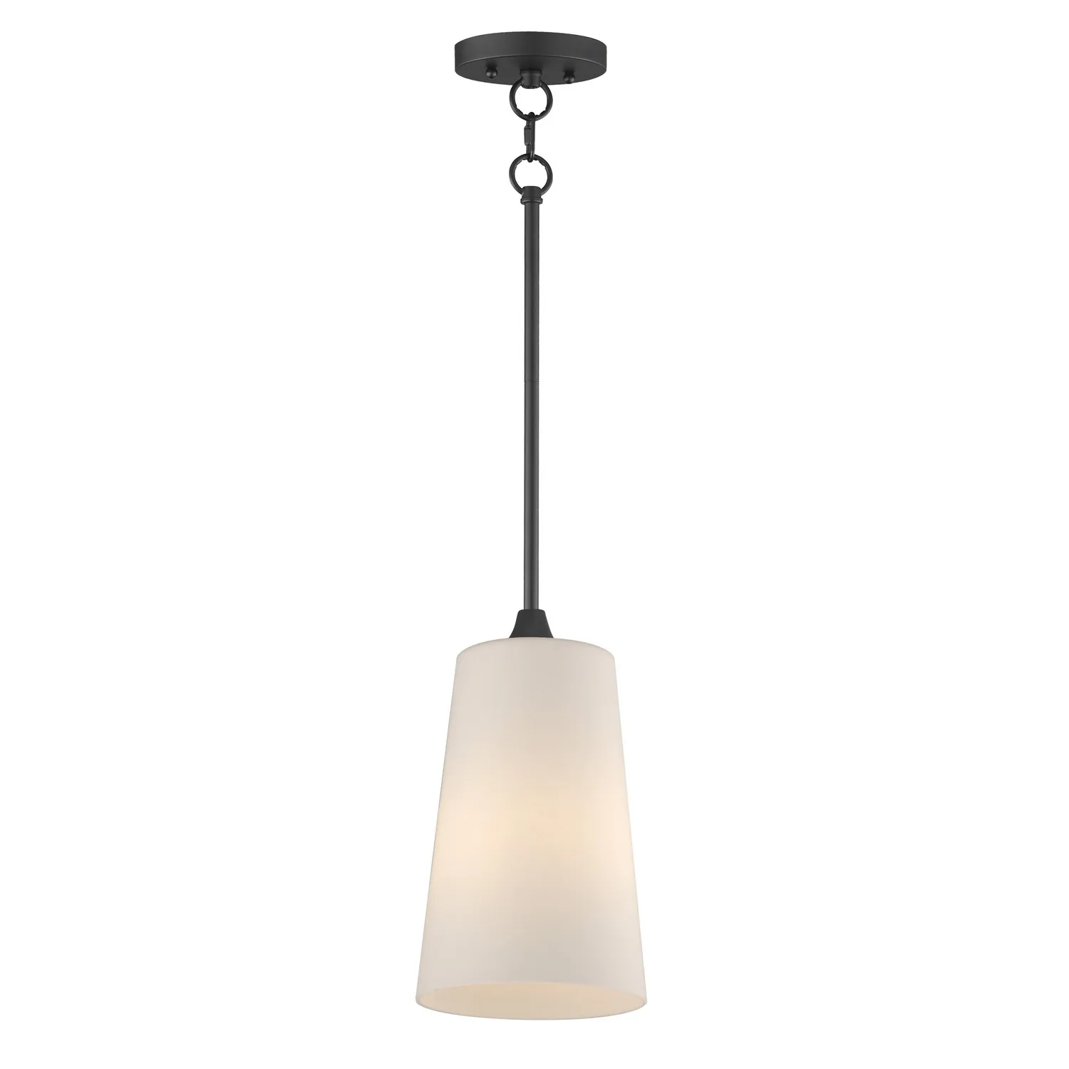 Hudson One Light Pendant in Black