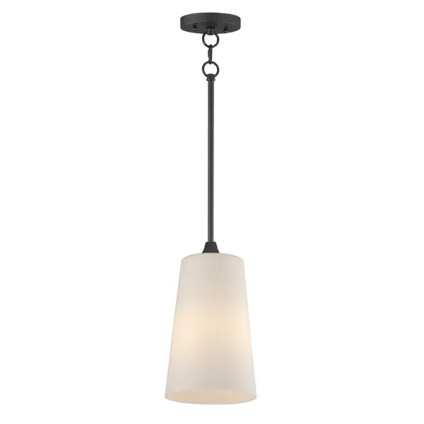 Hudson One Light Pendant in Black
