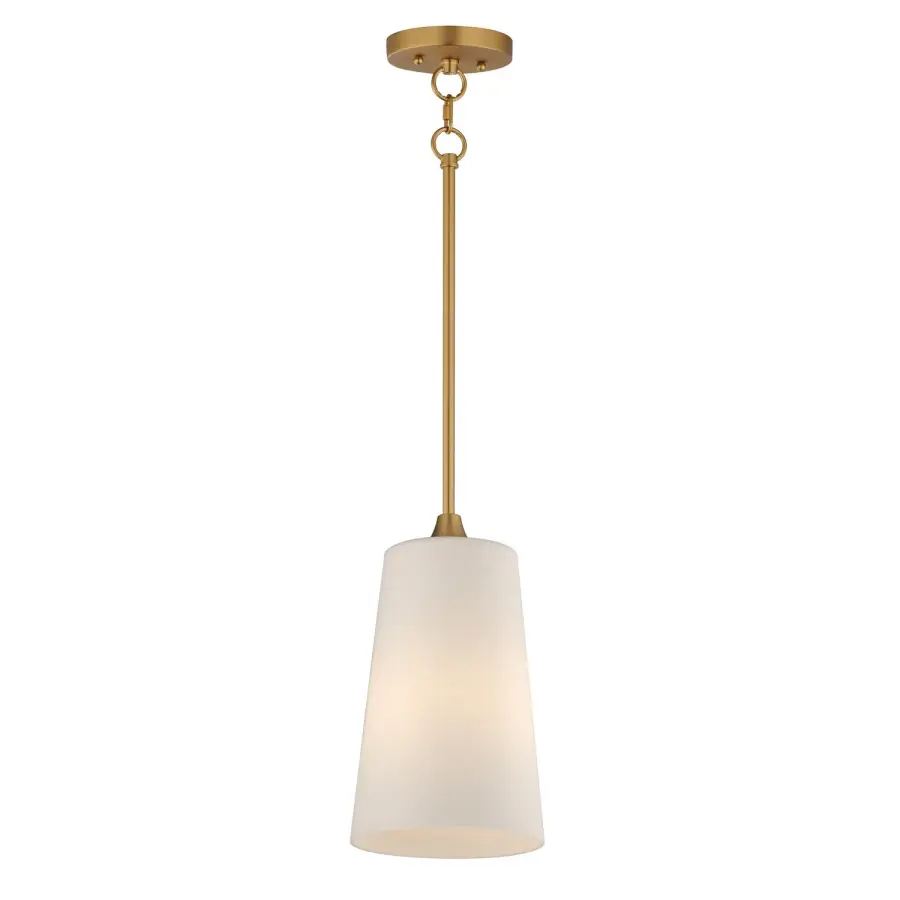 Hudson One Light Pendant in Natural Aged Brass