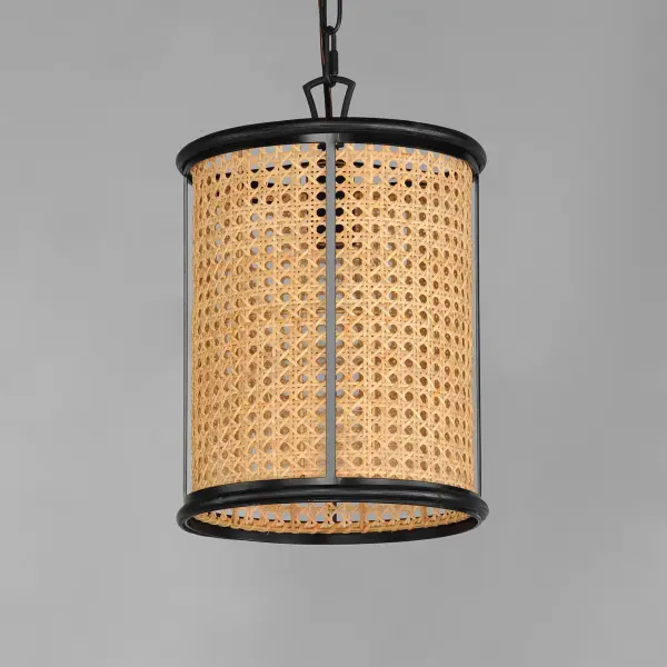 Cane-Single Pendant - Image 2