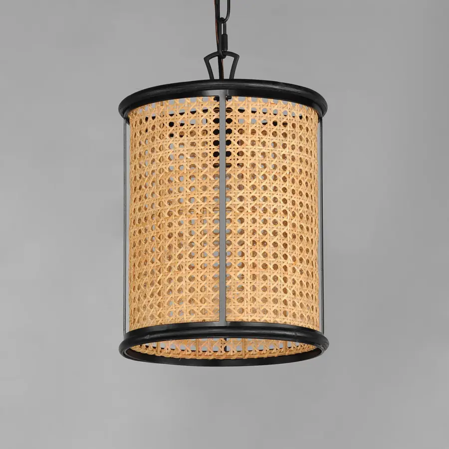 Cane-Single Pendant - Image 2