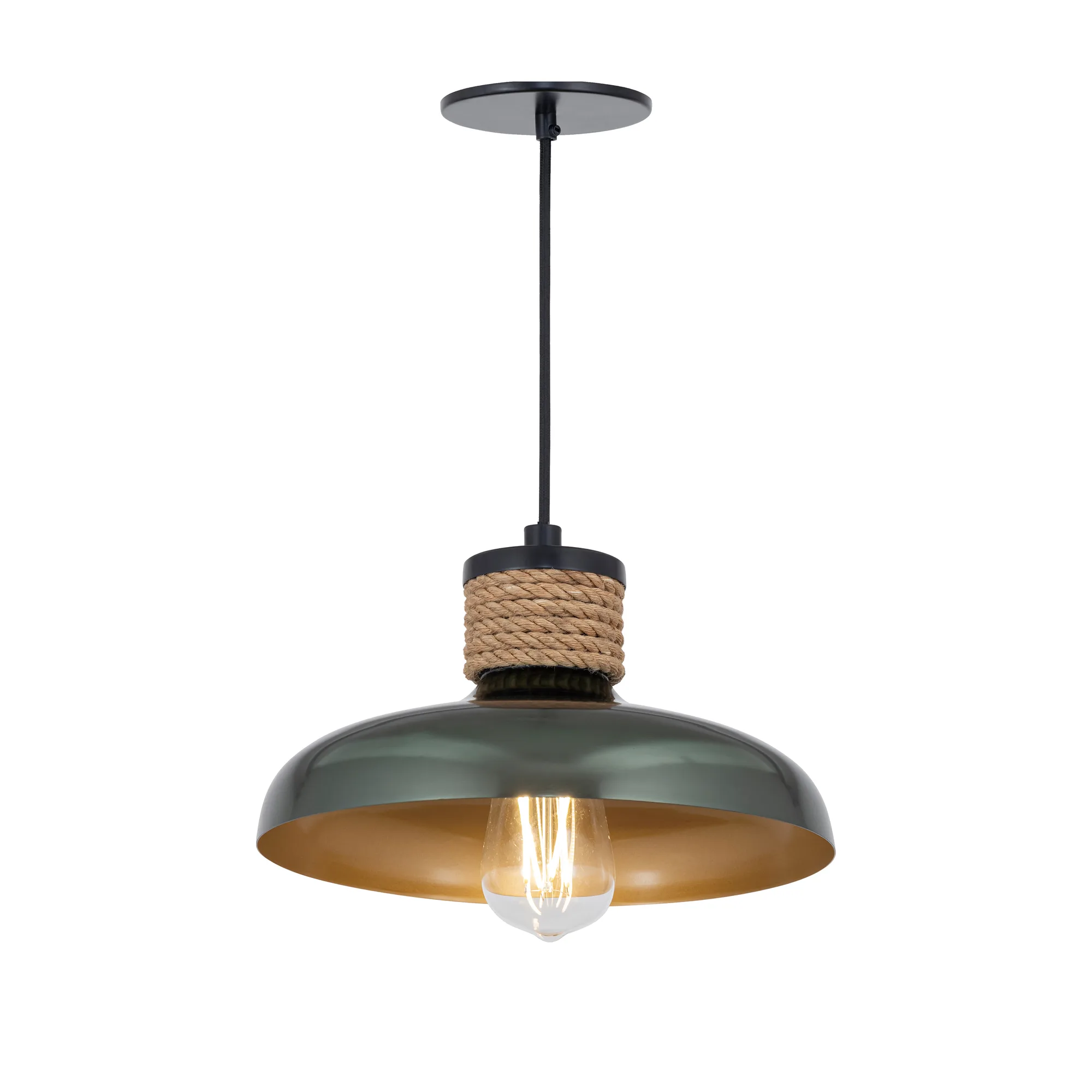 Bingham One Light Pendant in June Bug