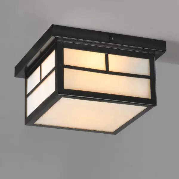 Coldwater Two Light Outdoor Ceiling Mount in Black - Image 3