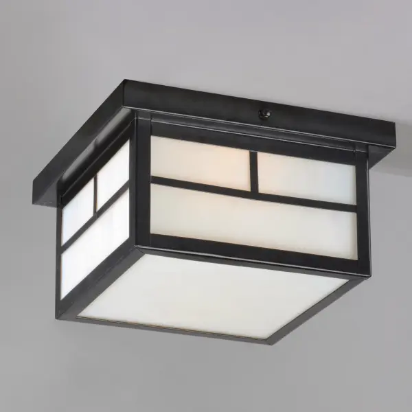 Coldwater Two Light Outdoor Ceiling Mount in Black - Image 4
