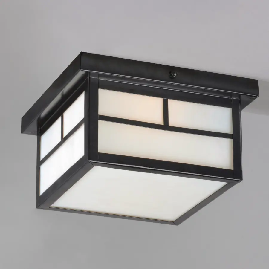Coldwater Two Light Outdoor Ceiling Mount in Black - Image 4