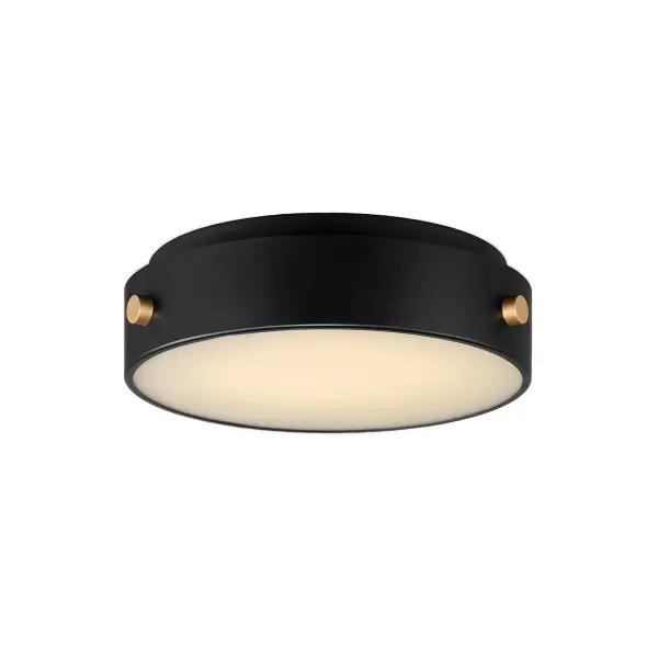 Tasteful details on this series of low-profile Vivex sconces and flush mounts adds a stylish touch to functional spaces. Finished in a two-tone Black and Gold combination, this Vivex series is engineered to withstand harsher climates adding fashionable flare to a necessary lighting element. The Gold rivet details at its corners are not just decorative, but structurally secure an outer shell that seals its internal LED housing from water intrusion. The applications of the flush mount and slim sconces provide dimensional convenience and accessibility for limited spaces or hallways regulated by ADA requirements.