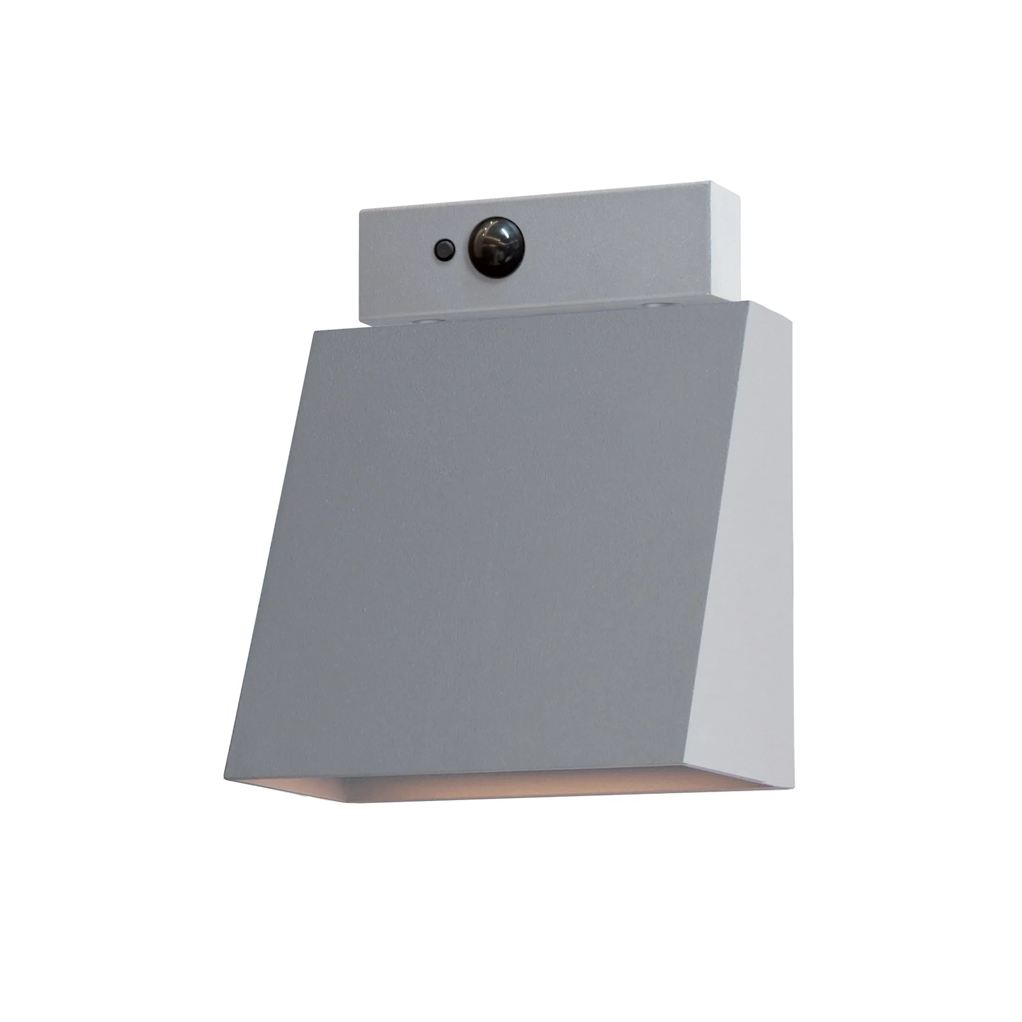 Pathfinder LED Outdoor Wall Sconce in Silver