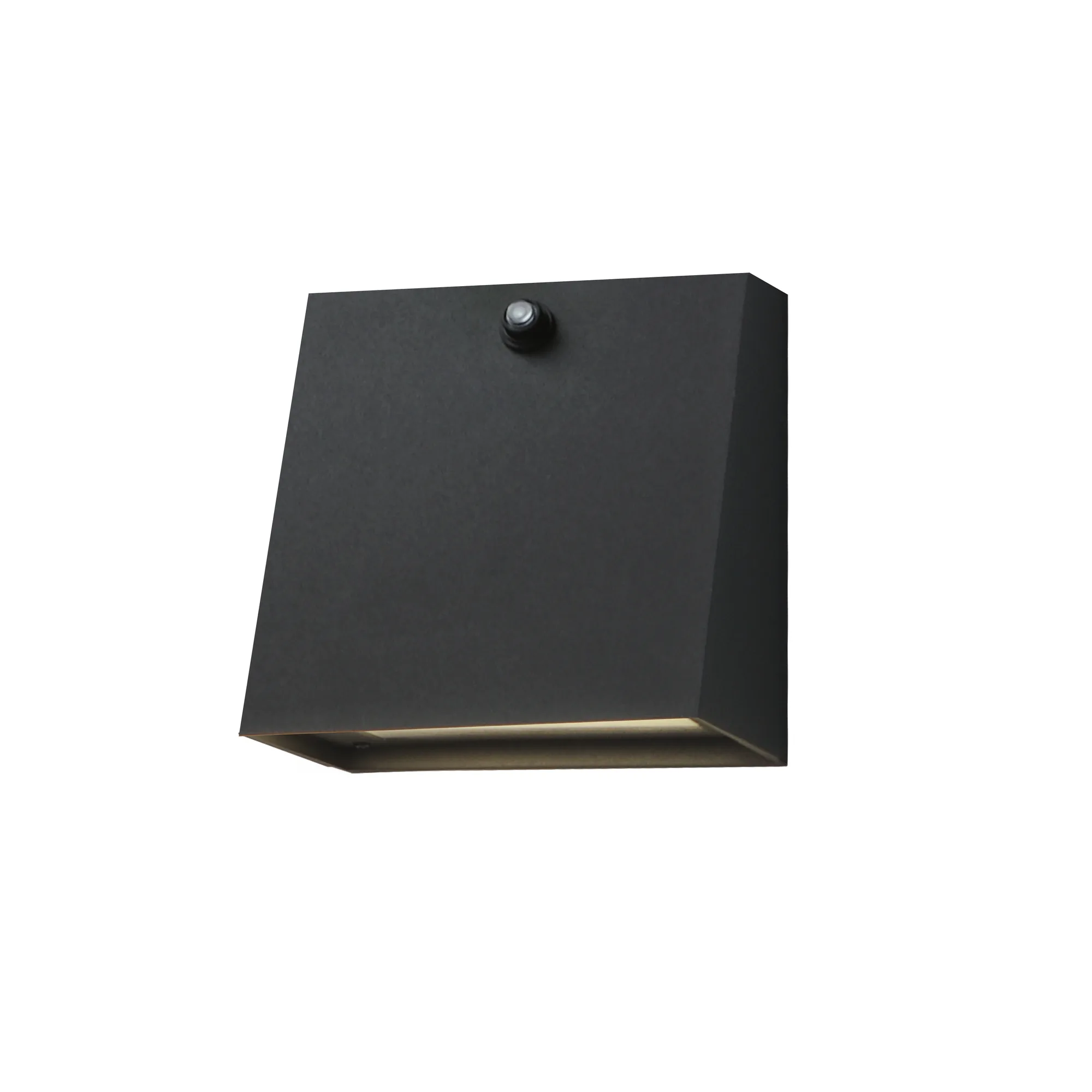 Pathfinder-Outdoor Wall Mount