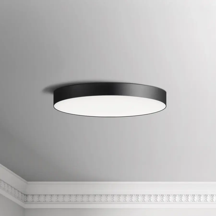 The Trim by Maxim - Image 2