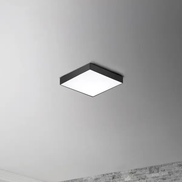 Thin discs of evenly illuminated LED create the impression of recessed lighting. The die-cast aluminum housings are available in White, Black, Satin Nickel, and Polished Chrome all with a thoughtfully recessed White polycarbonate diffuser. High efficiency and good color rendering make this a perfect choice for your next project. - alternate view