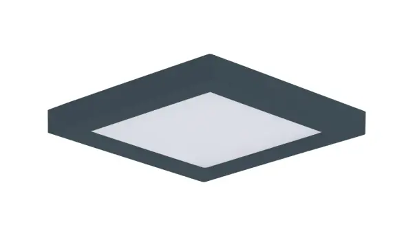 The Chip by Maxim - Image 1