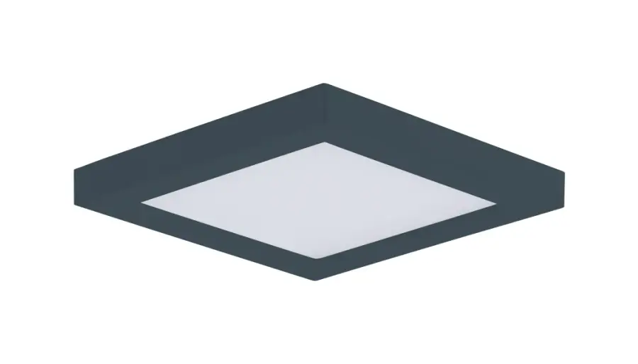 The Chip by Maxim - Image 1