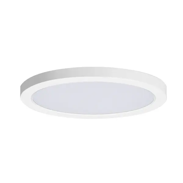 Chip 12" LED Flush Mount in White