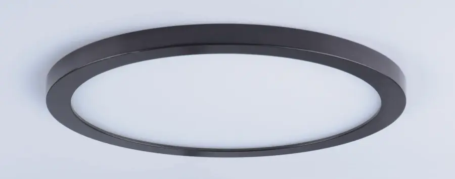 The Wafer by Maxim - Image 2