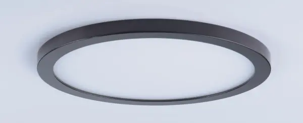 The Wafer by Maxim - Image 3