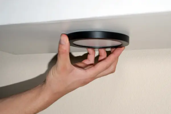 The Wafer by Maxim - Image 4