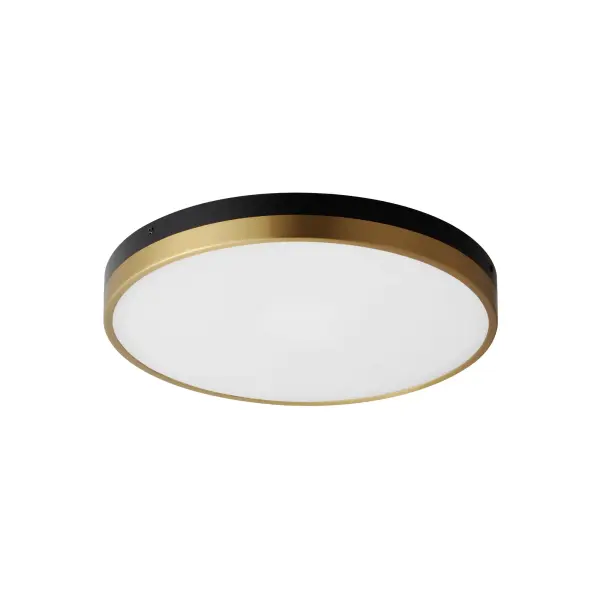A trendy two-tone Black and Gold low-profile flush mount to coordinate with the ever-popular two-tone product designs throughout your project. The slim profile and stylish finish make this LED flush mount a dapper choice to pair with other Black and Gold furniture, furnishings, and plumbing options available. Available in multiple diameters including a 5" elongated design as well as round 12" and 16" LED integrated flush mounts.