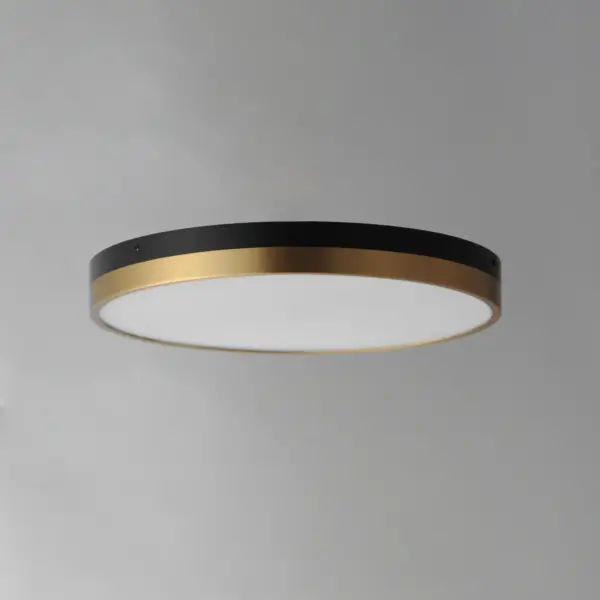 A trendy two-tone Black and Gold low-profile flush mount to coordinate with the ever-popular two-tone product designs throughout your project. The slim profile and stylish finish make this LED flush mount a dapper choice to pair with other Black and Gold furniture, furnishings, and plumbing options available. Available in multiple diameters including a 5" elongated design as well as round 12" and 16" LED integrated flush mounts. - alternate view