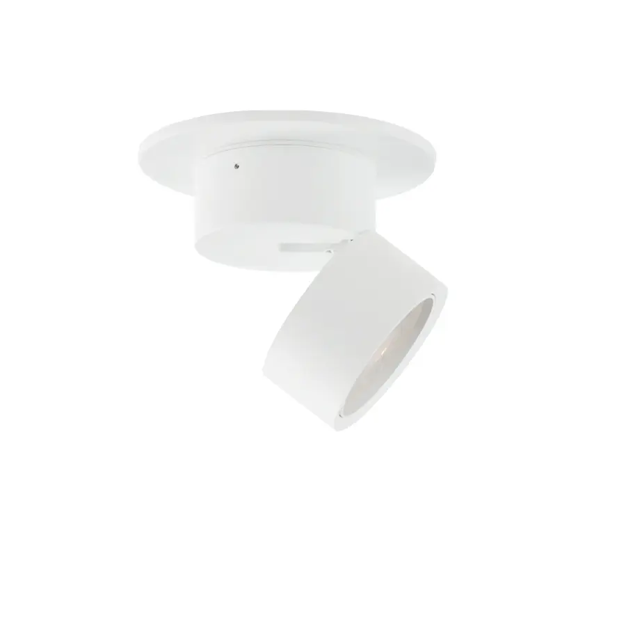 Swinger LED Adjustable Flush Mount in White - Image 1