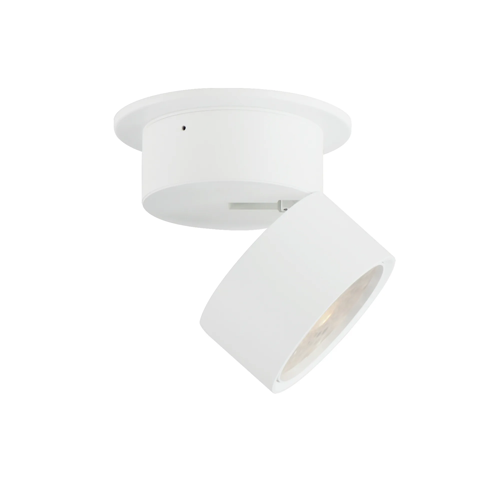 Swinger LED Flush Mount in White