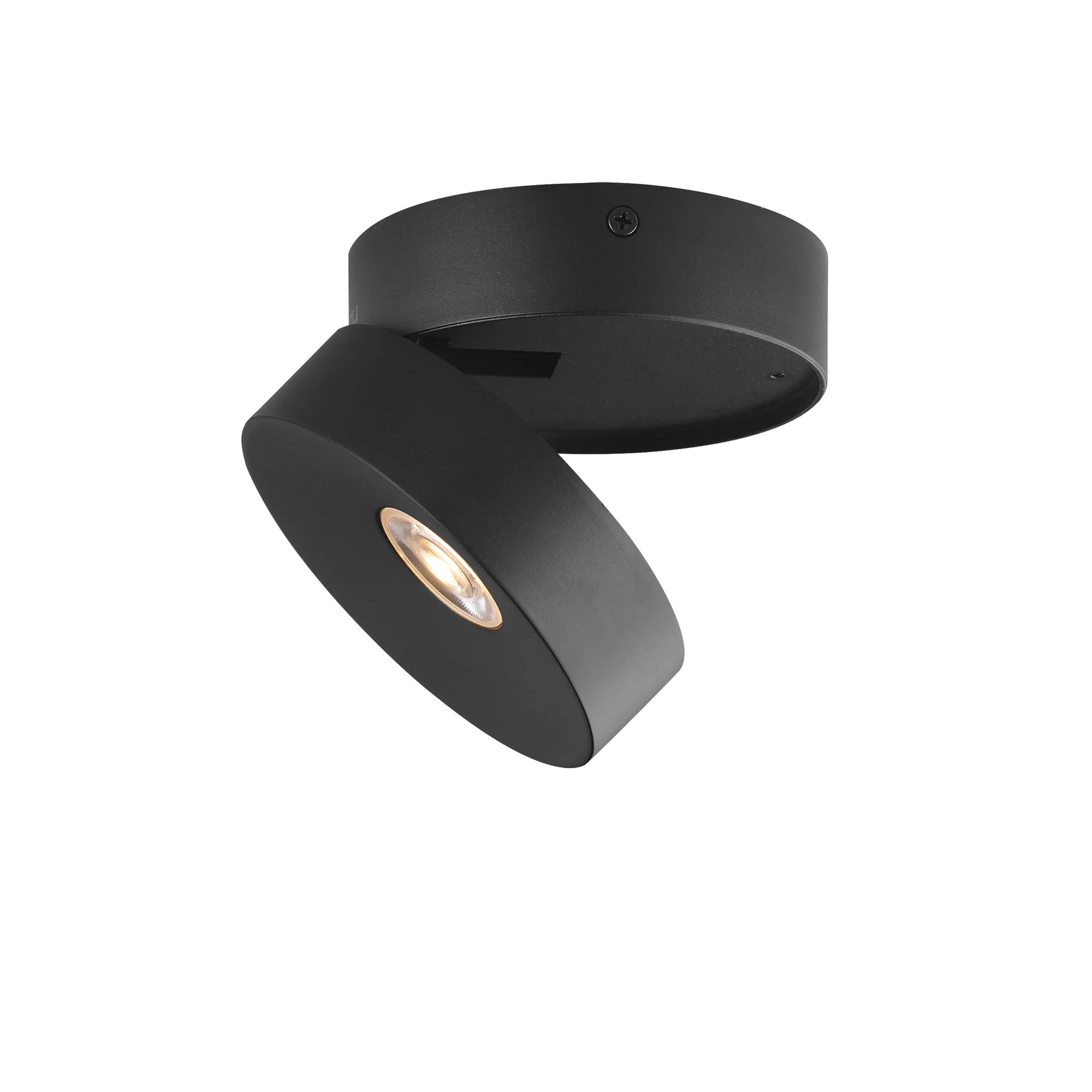 Swinger-Flush Mount