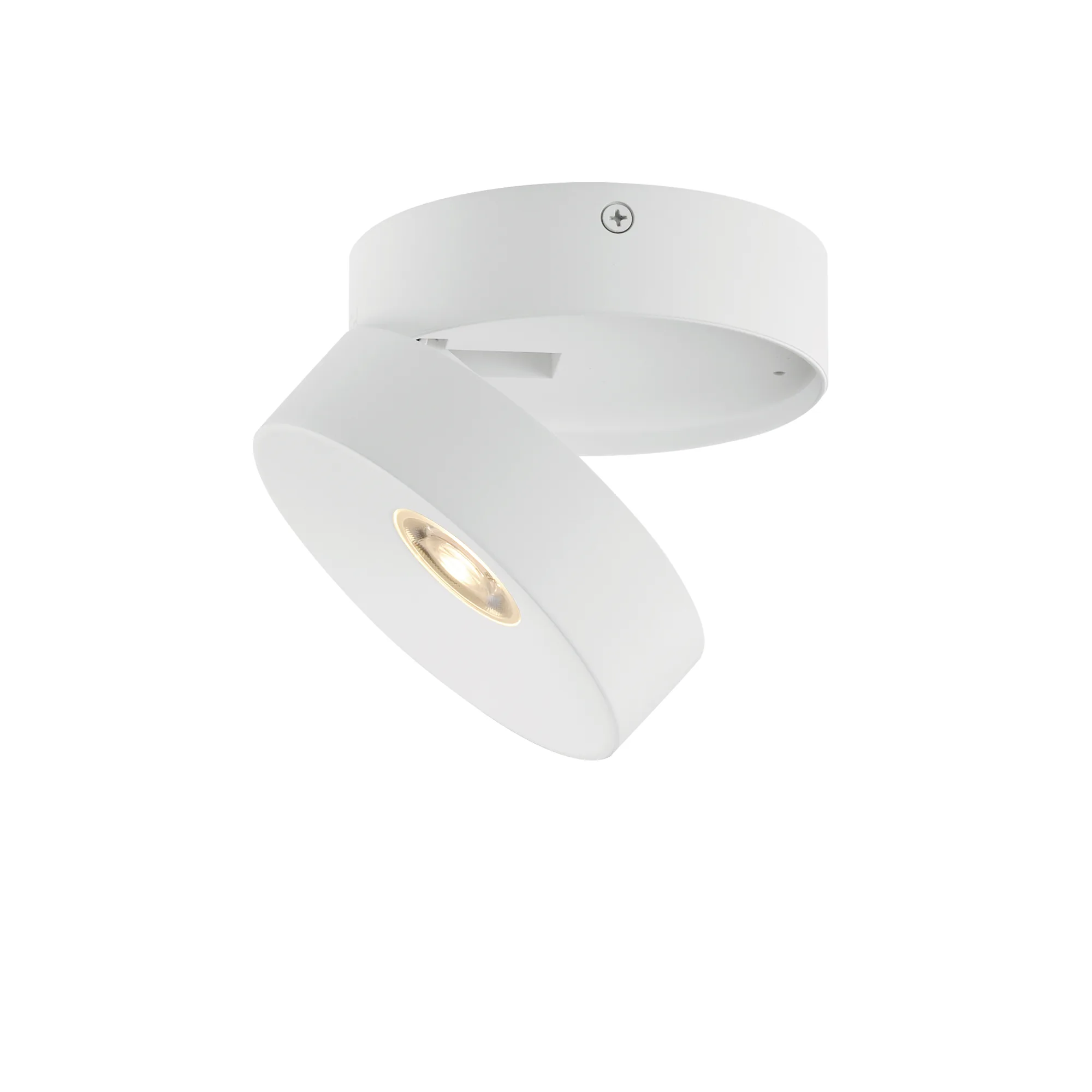 Swinger LED Flush Mount in White